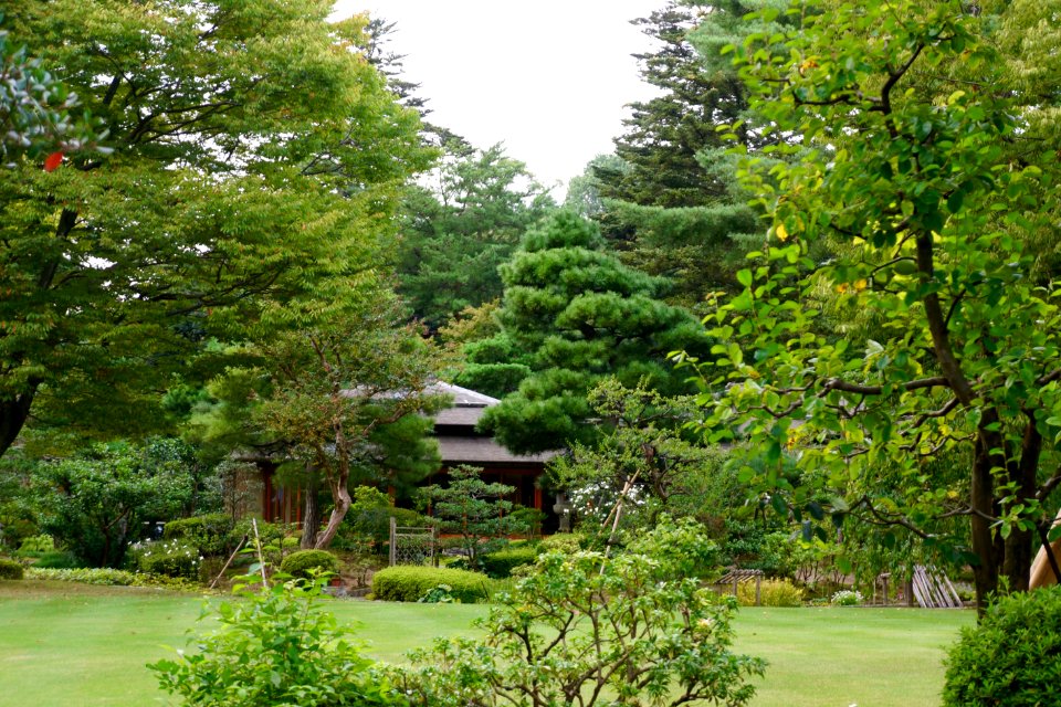兼六園 / Kenrokuen Garden