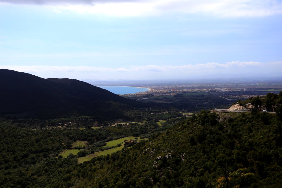 IMG 0090