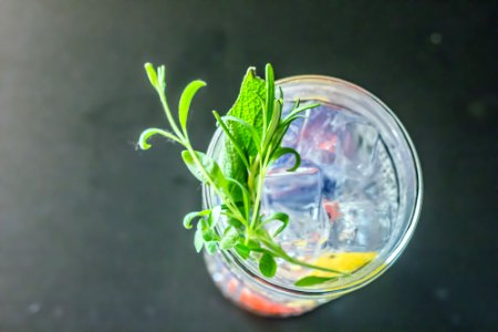 Gin and Tonic cocktail with rosemary basil lemon peel, gin tonic drink recipe, free pic