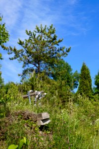有珠山西山山麓火口散策路