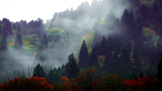 Landscape nature mountain