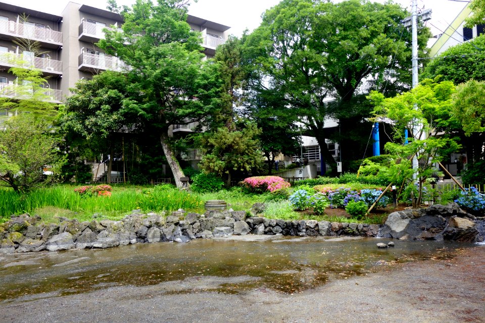 白滝公園