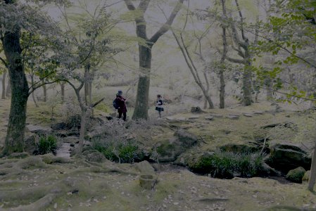 奈良公園