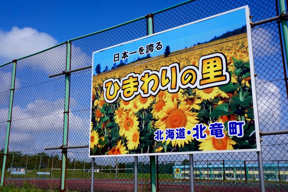 北竜町 ひまわりの里