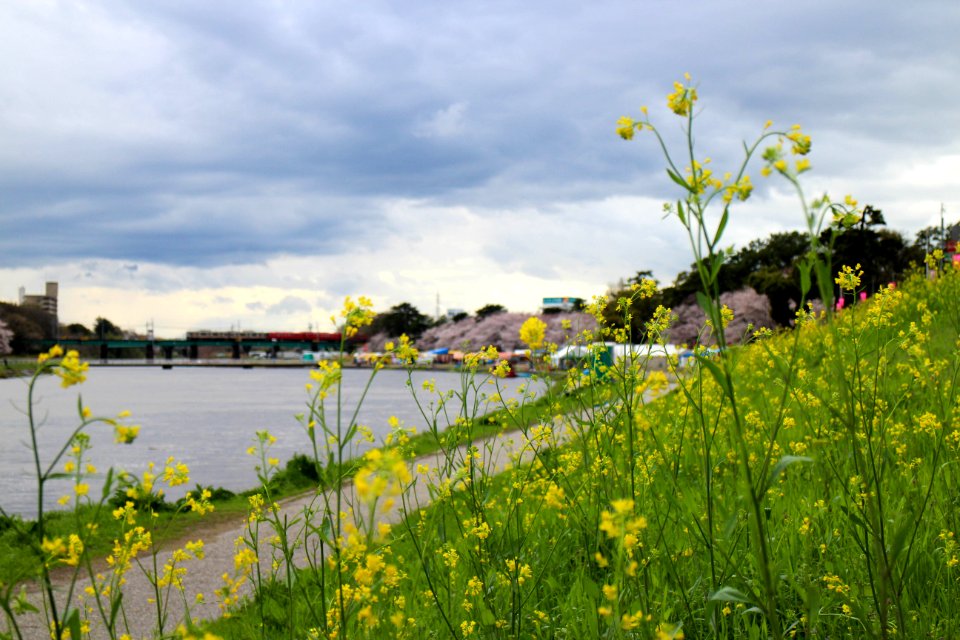 IMG 0428.jpg