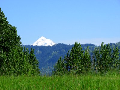 Steigerwald Lake NWR in WA