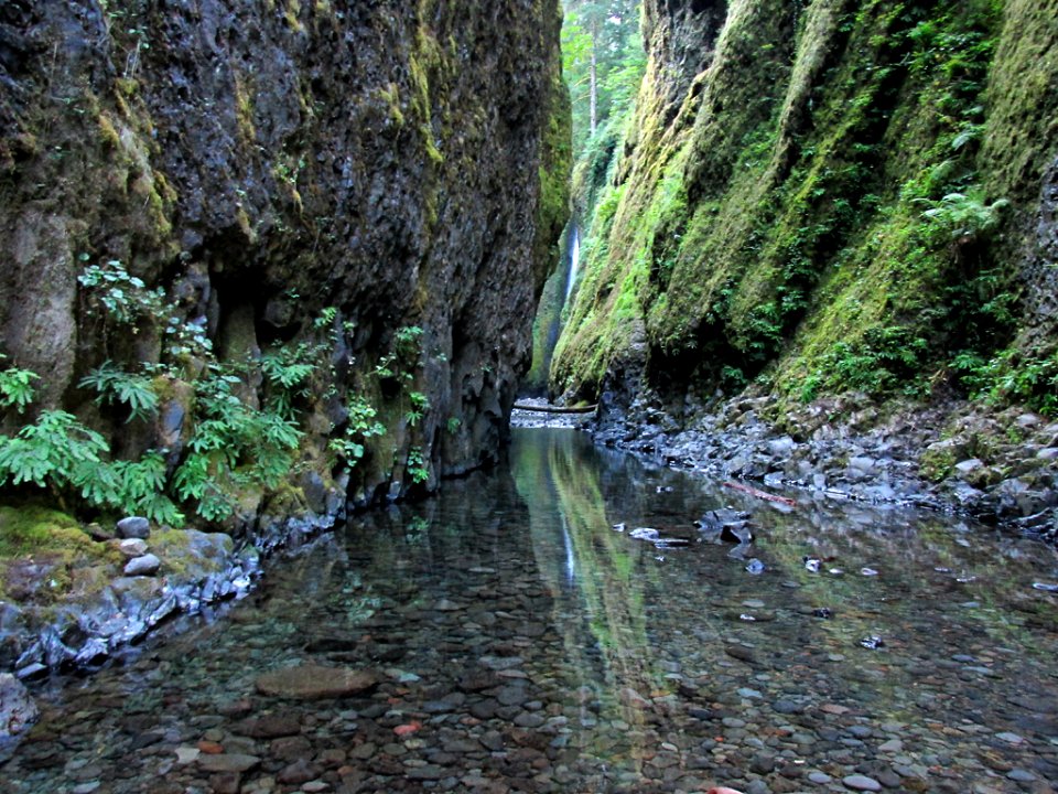 Oneonta Gorge in Oregon