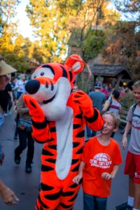 Disneyland with the Scotts