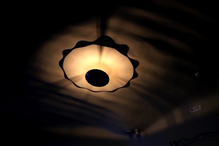 IMG 9319
