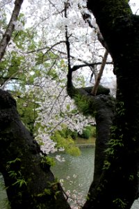IMG 0443.jpg