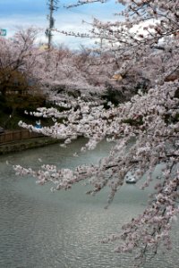 IMG 0476.jpg