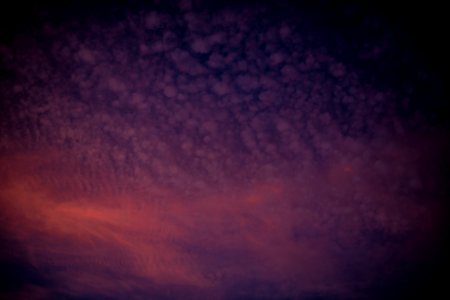 20191022-OSEC-LSC-1834