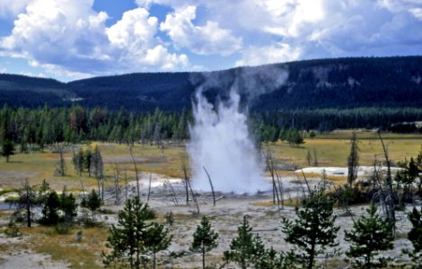 Seismic Geyser erupting (1967) 1
