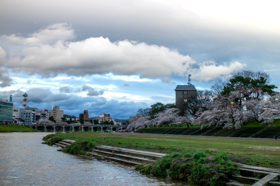 IMG 0480.jpg
