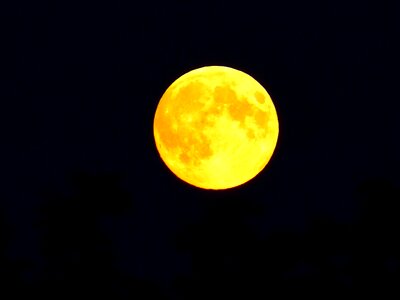 Earth companion at night moon craters