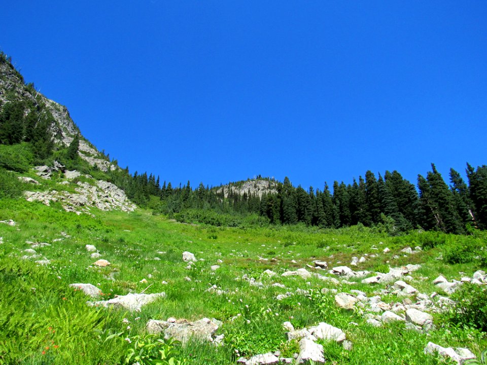 Maple Pass Trail at North Cascades NP in WA