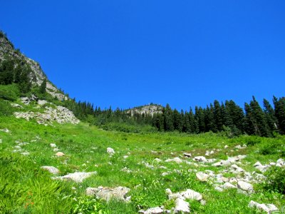 Maple Pass Trail at North Cascades NP in WA