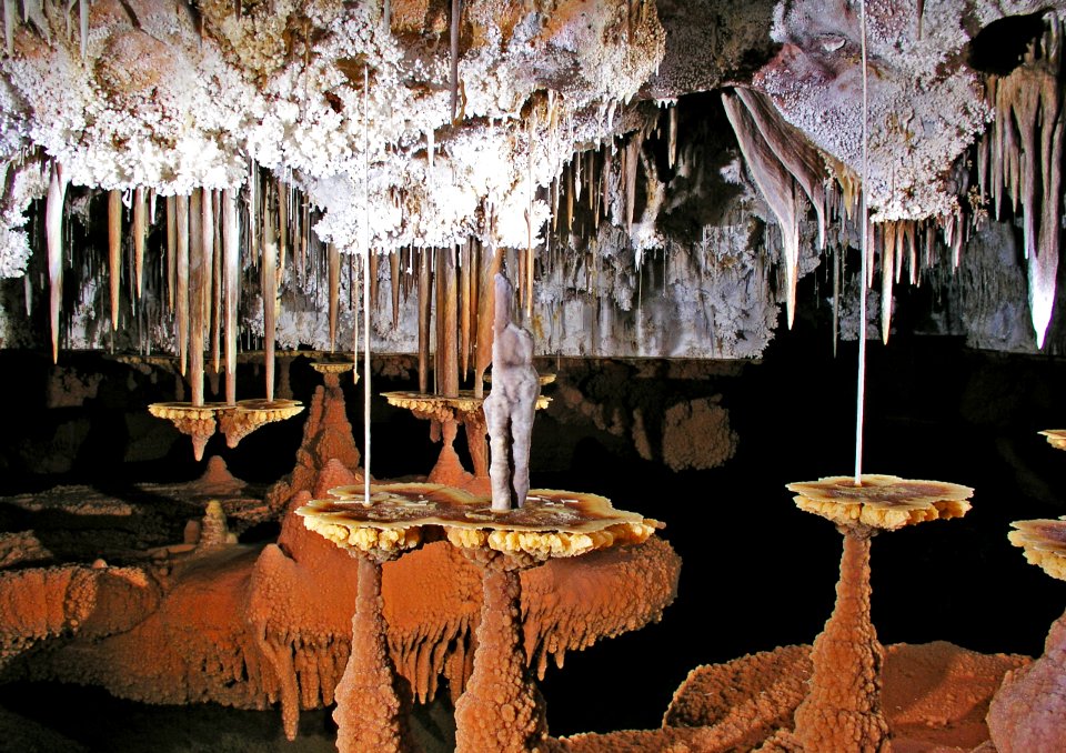 Lily pad shelfstone, stalactites, soda straws (Atlantis, Lechuguilla Cave, New Mexico, USA)