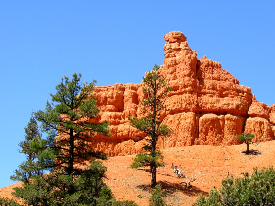 Red Canyon at Dixie National Forest in Utah