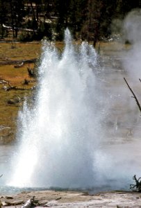 Seismic Geyser erupting (1970) 1