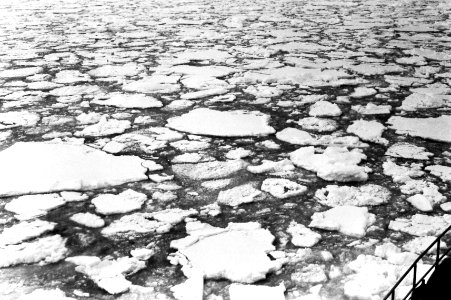 Pancake ice (1955) (Amundsen Sea, Antarctica) 1 photo