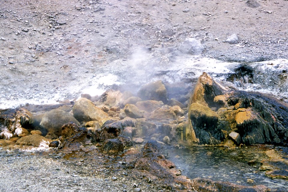 Spray Geyser (1966)