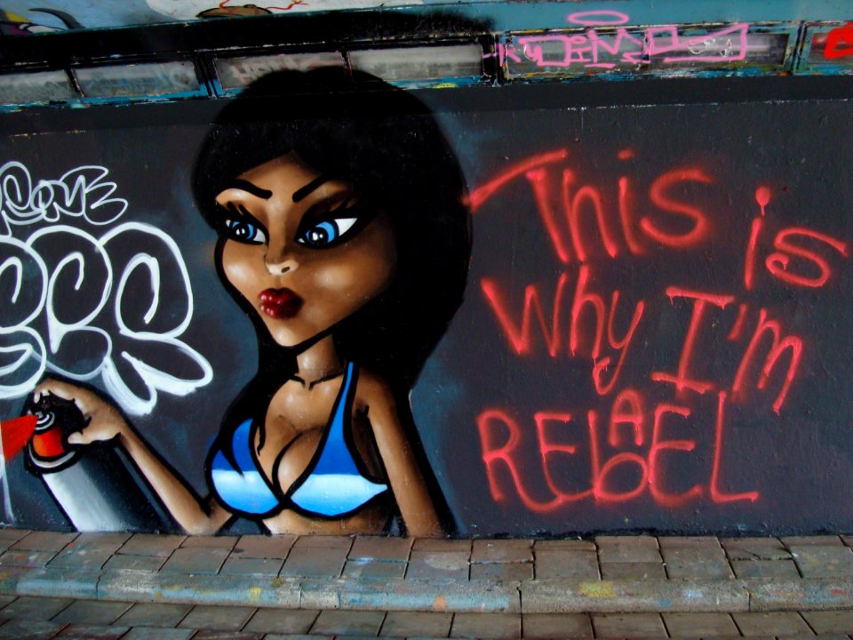 This is why i'm a rebel 2015