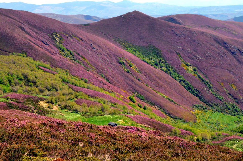 Refugio del Teso Mular
