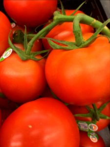 Vine Ripened Tomatoes photo