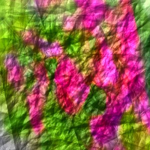 free crumpled paper