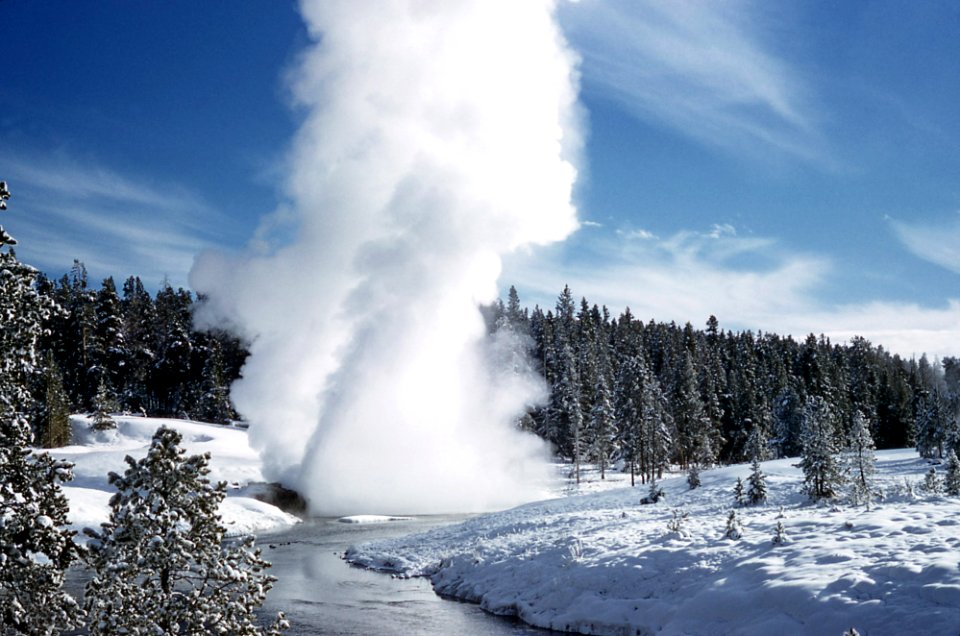 Riverside Geyser erupting (1960)