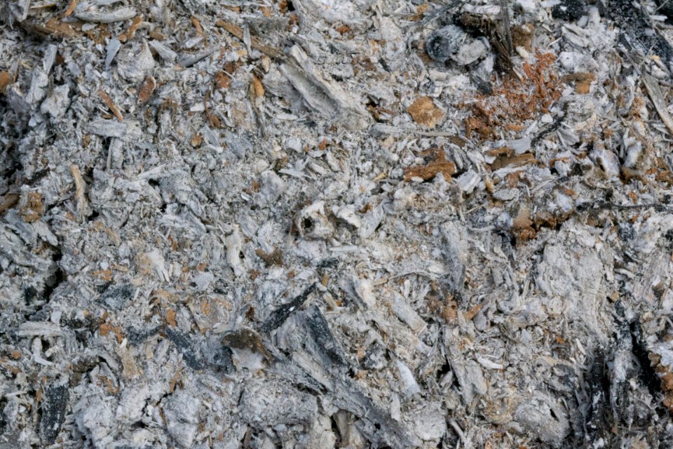 ashes