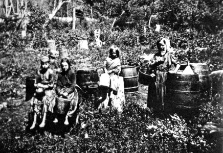 Oil dippers (1863) (Miller Farm, Oil Creek, Pennsylvania, USA)