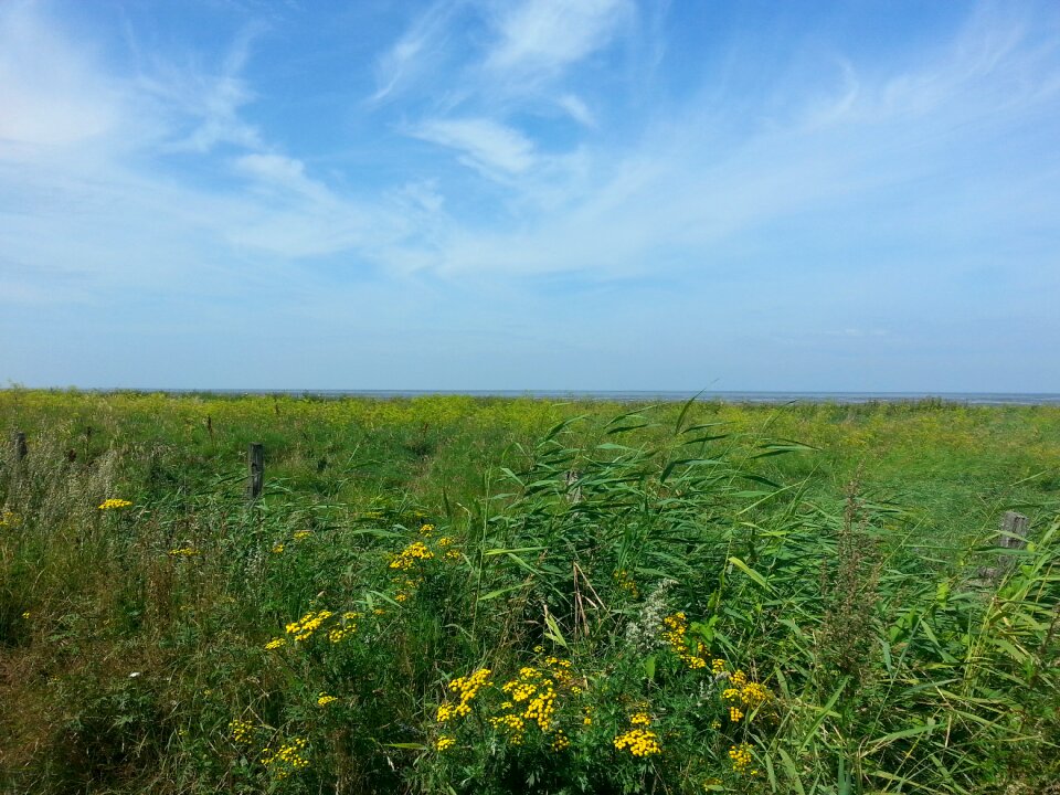 North sea cuxhaven landscape