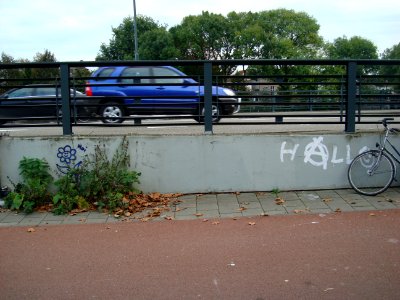 Flowers say hello photo