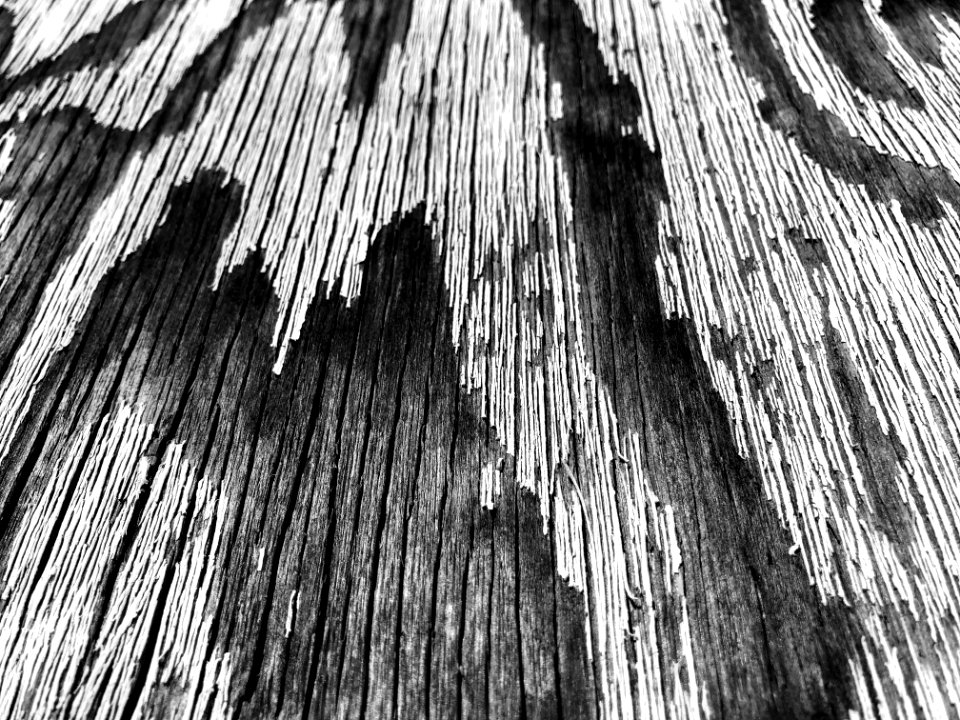 Weathered Wood