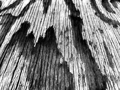 Weathered Wood