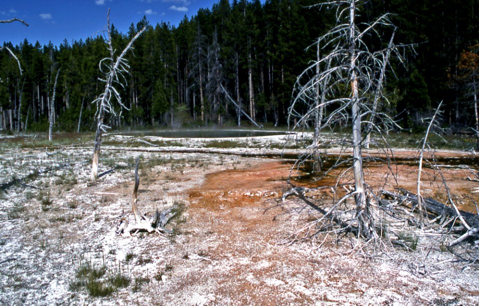 Mushroom Pool (August 1993) 1