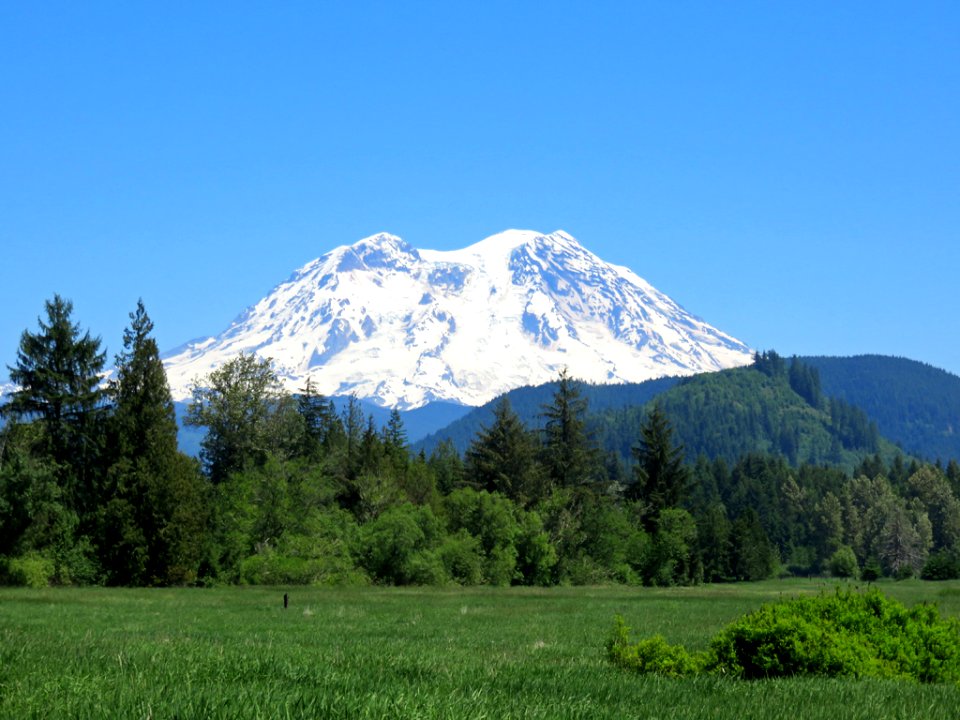 Mt. Rainier NP in WA