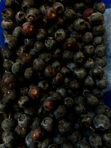 Blueberries