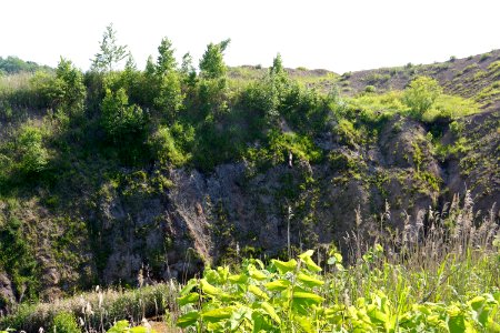有珠山西山山麓火口散策路