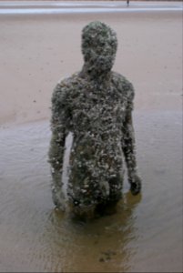 Another Place by Antony Gormley, Crosby Beach photo