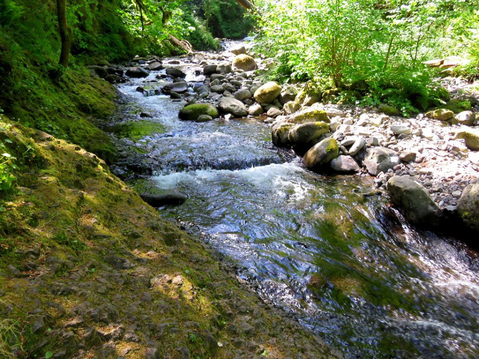 Oneonta Creek at Columbia River Gorge in Oregon