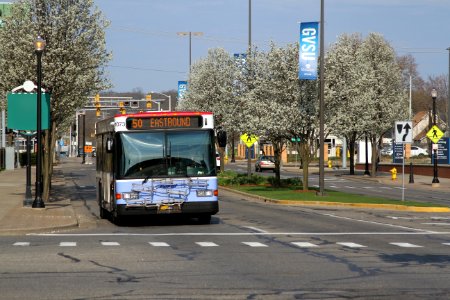 The Rapid at GVSU