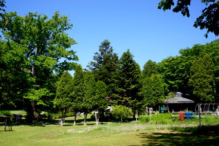 中島 / Nakajima Islands