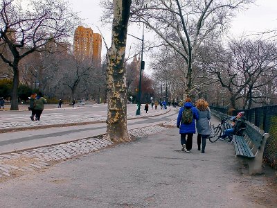 New York City | Central Park photo