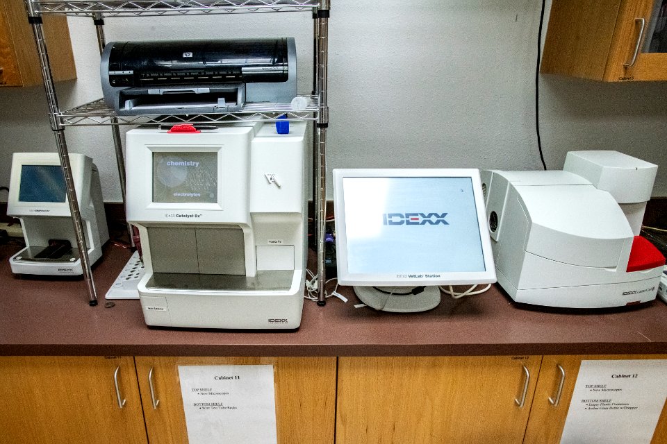 20190909-OPPE-LSC-0806