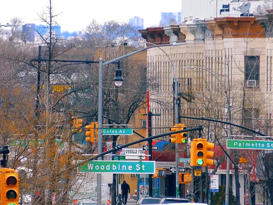 New York City  |  Central Park