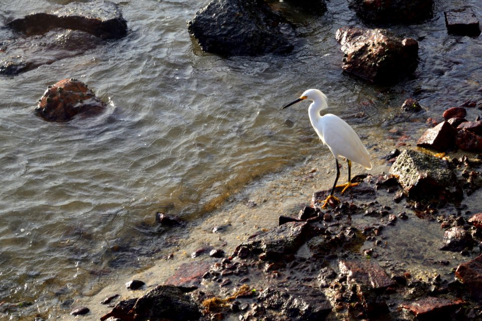 Buzios. Río de Janeiro. Brasil