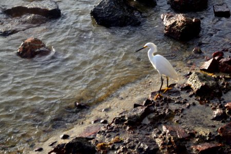 Buzios. Río de Janeiro. Brasil